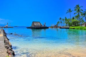 ハワイコナは世界有数の高級豆。おすすめの淹れ方と飲み方をご紹介。