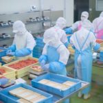 食肉加工業のきつい仕事内容とは?向いている人、向いていない人の特徴