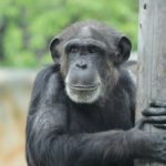 ムダ毛はなぜ生えてくるの?体毛が生える理由と脱毛することのメリット