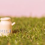 コーヒー牛乳とカフェオレの違いとは?美味しい作り方をご紹介。